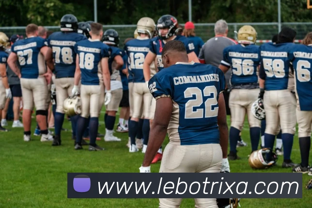 App Interface Preview