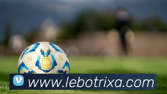 乐博体育APP 封面图